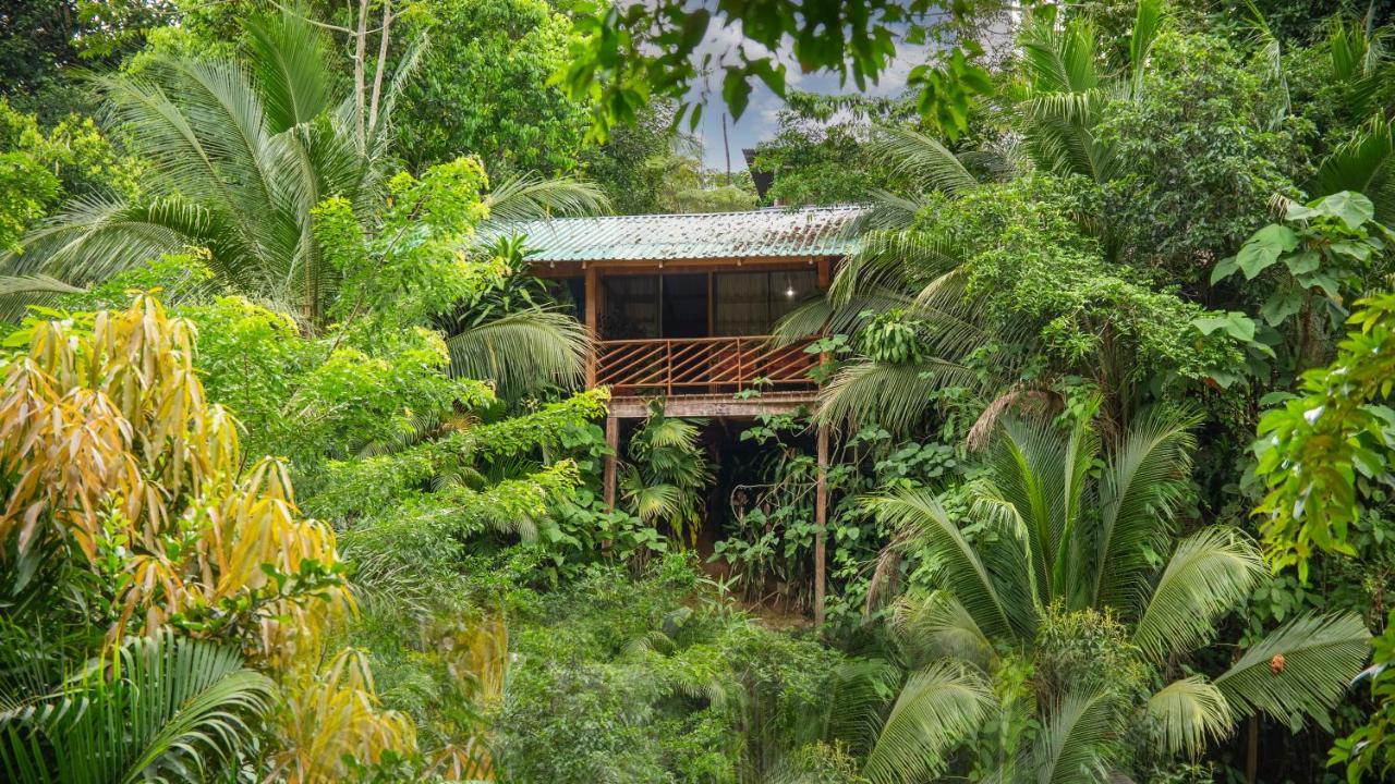 Cabanas Del Lago La Fortuna 외부 사진