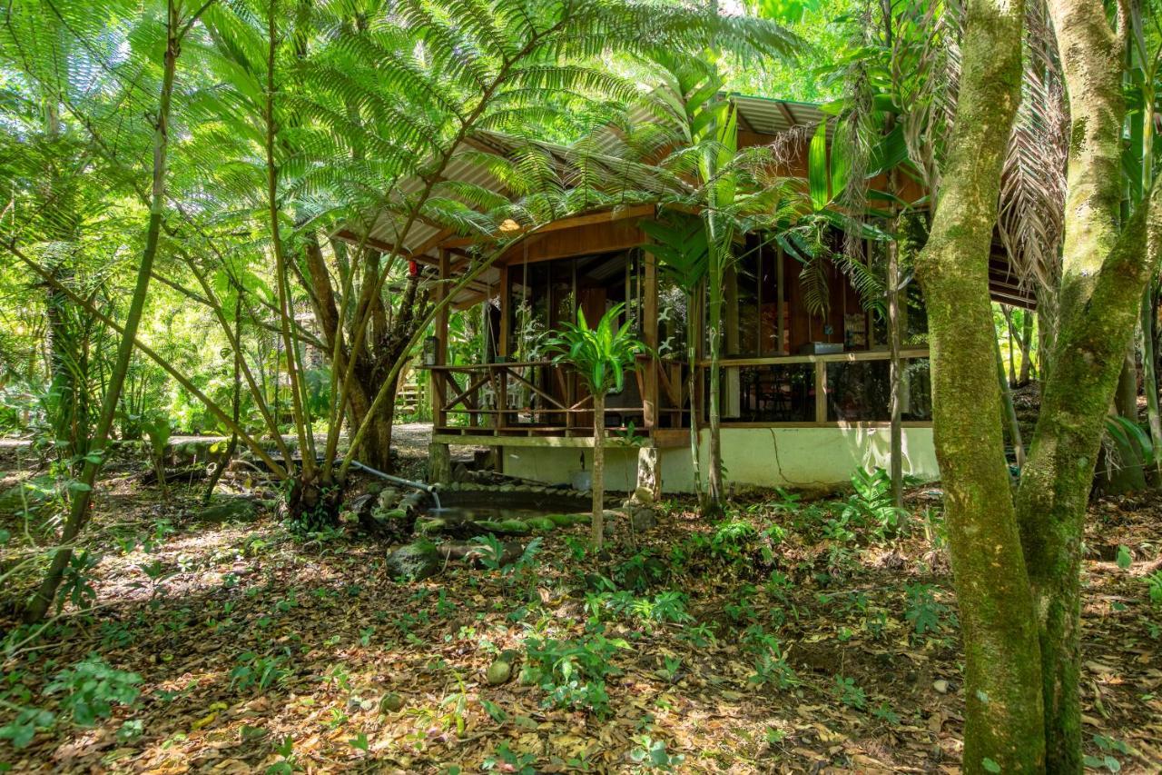 Cabanas Del Lago La Fortuna 외부 사진