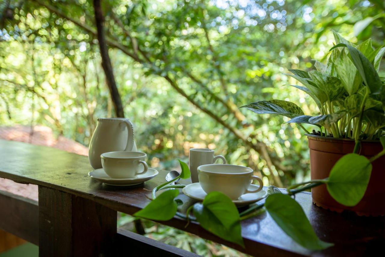 Cabanas Del Lago La Fortuna 외부 사진