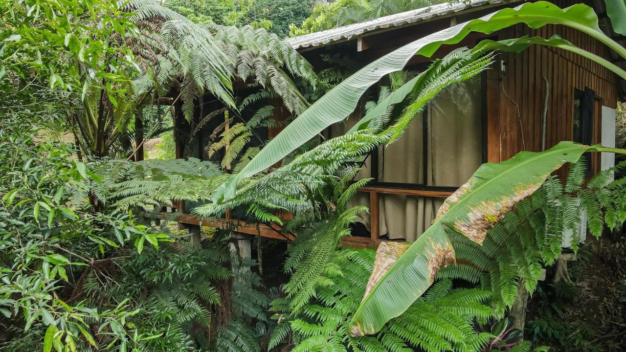 Cabanas Del Lago La Fortuna 외부 사진