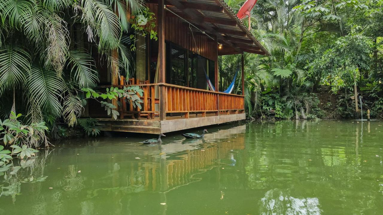 Cabanas Del Lago La Fortuna 외부 사진