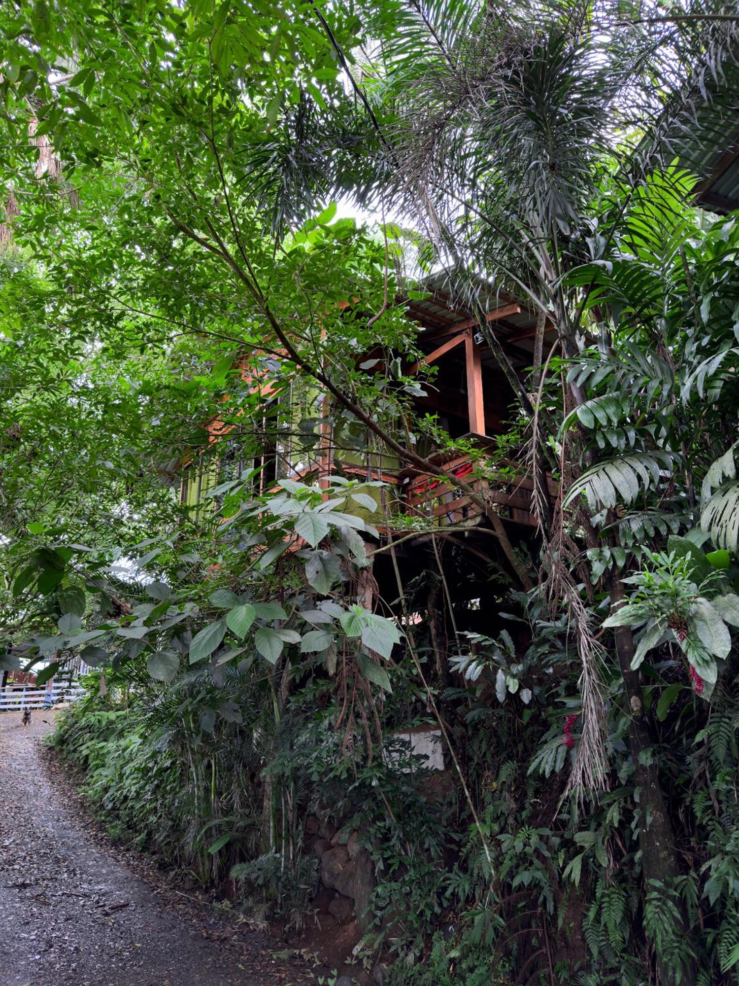 Cabanas Del Lago La Fortuna 외부 사진