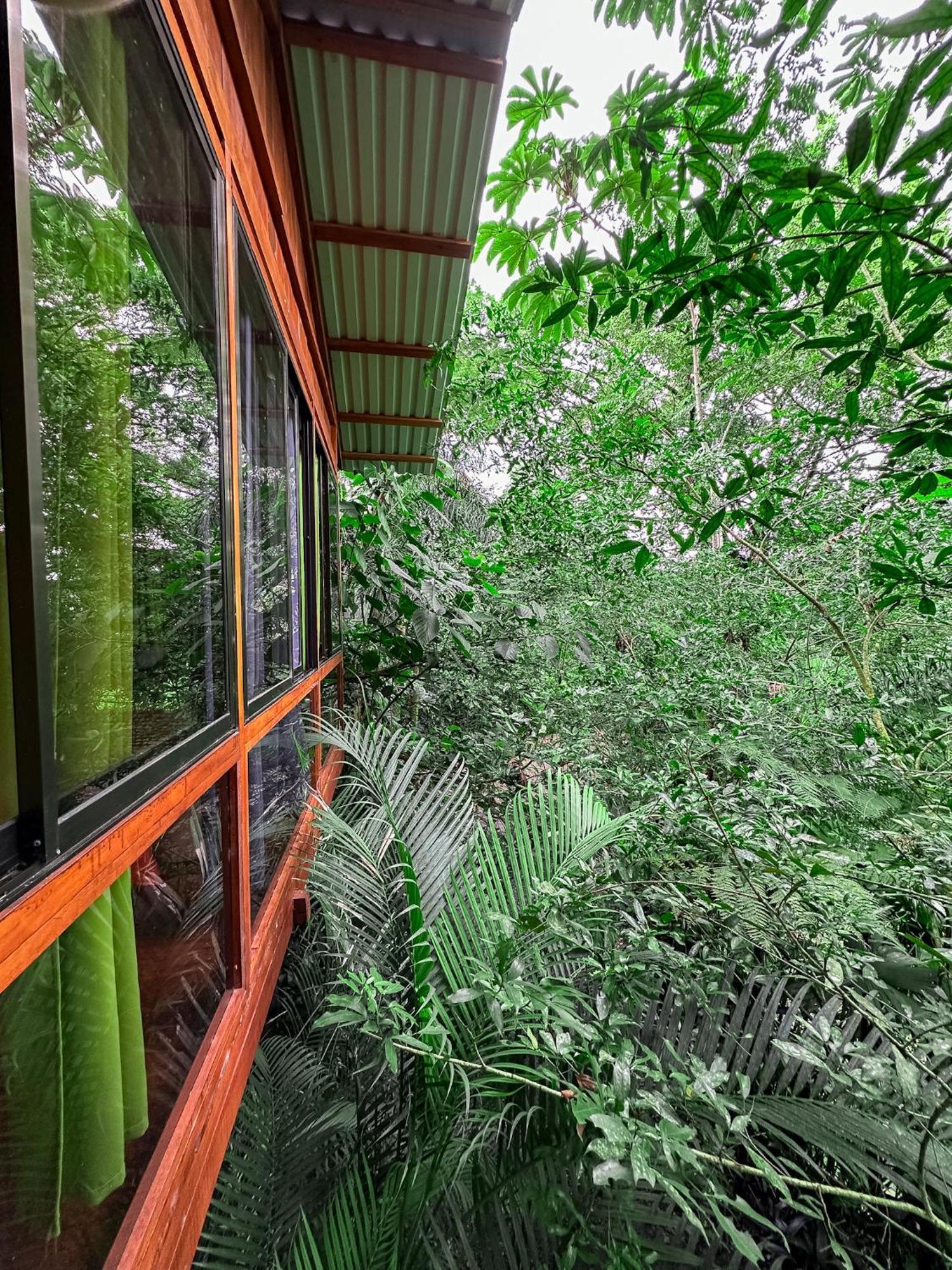 Cabanas Del Lago La Fortuna 외부 사진
