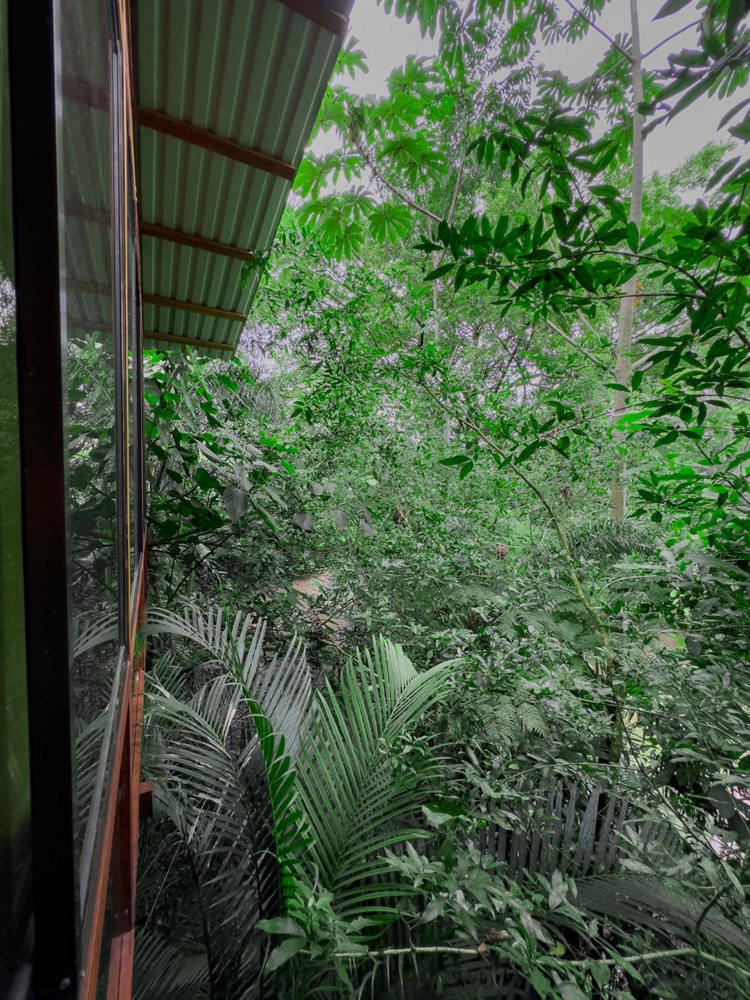 Cabanas Del Lago La Fortuna 외부 사진