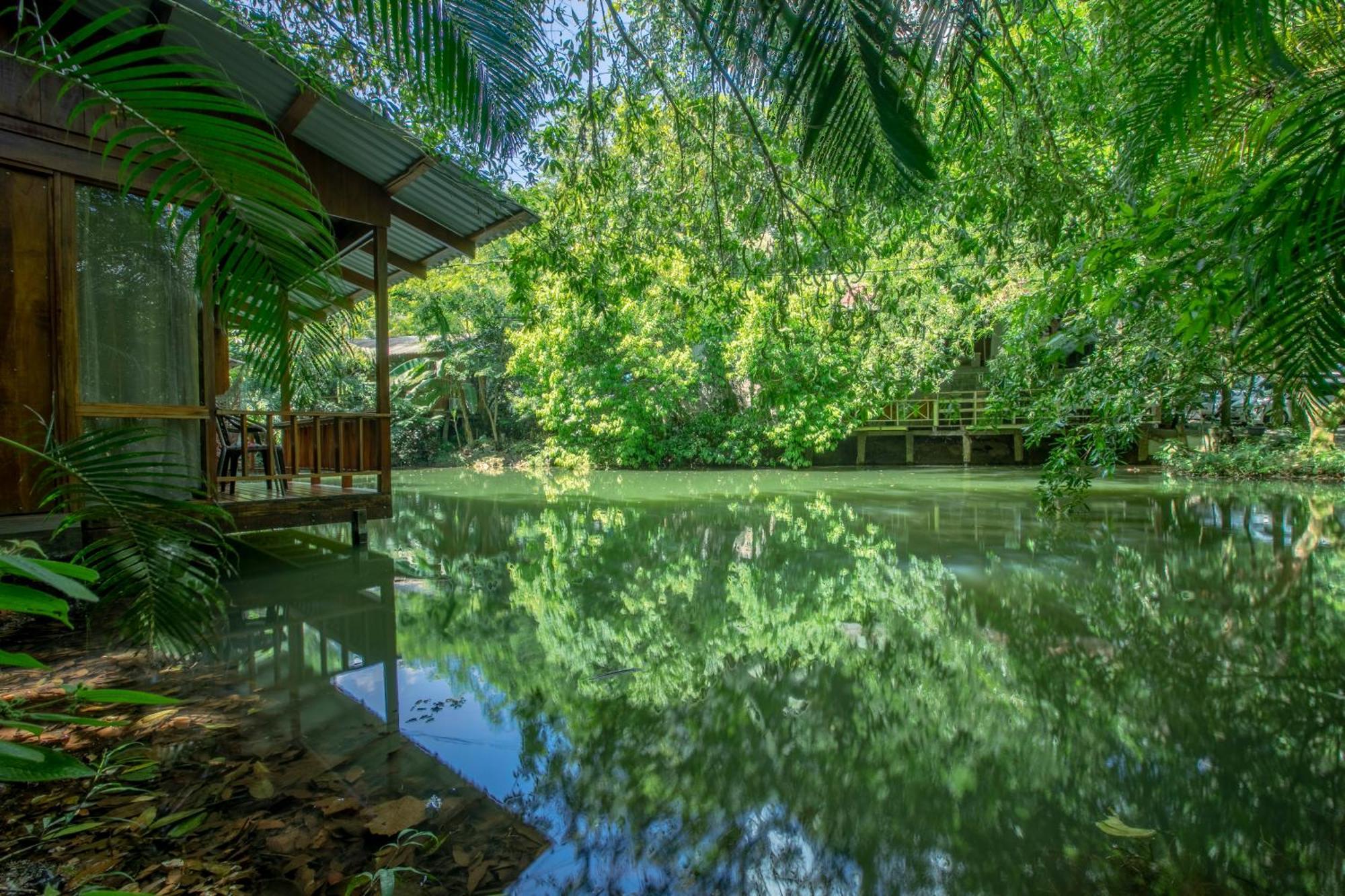 Cabanas Del Lago La Fortuna 외부 사진