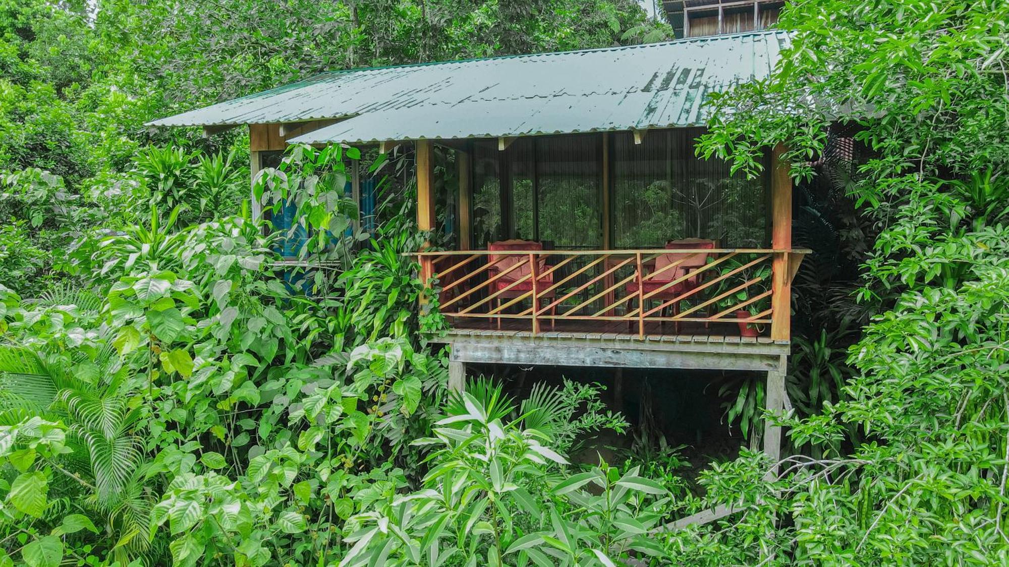 Cabanas Del Lago La Fortuna 외부 사진